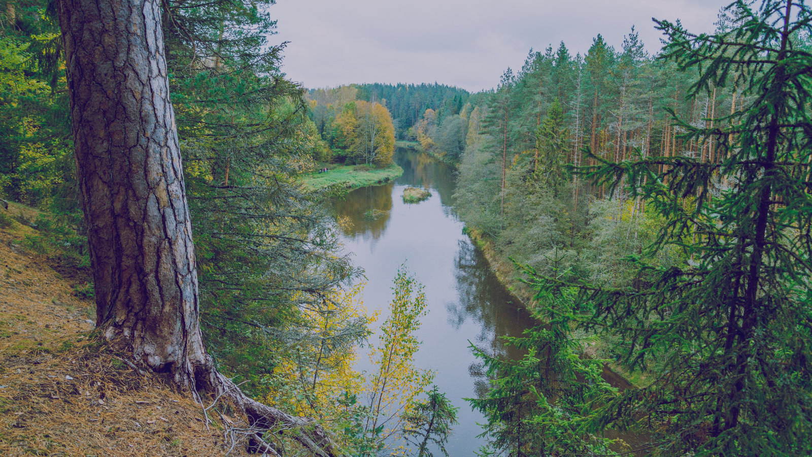 Pārrunā ar uzņēmējiem glāžu depozīta sistēmas ieviešanu svētkos Valmierā